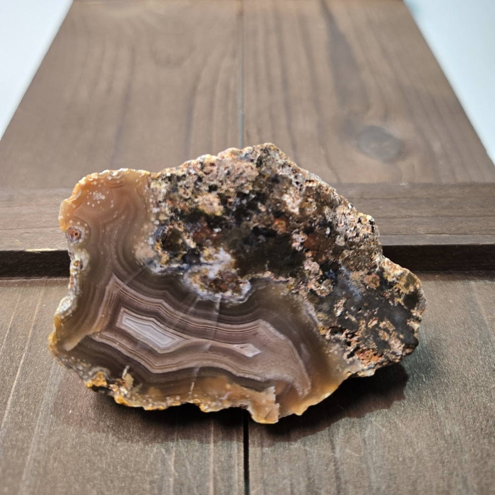 Coyamito Agate Laguna Mexico - Picture 2 of 12